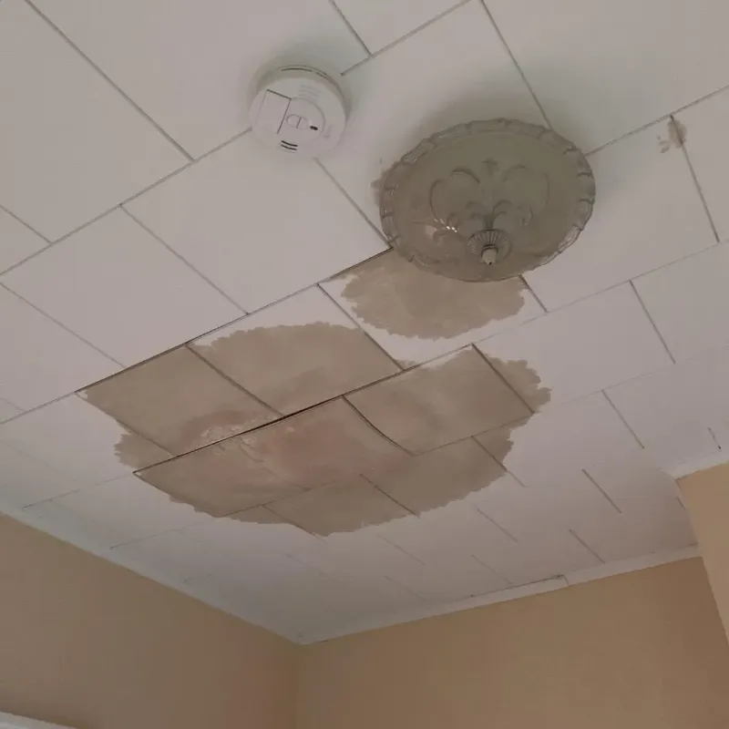 Ceiling Water Damage Repair in Calcutta, OH