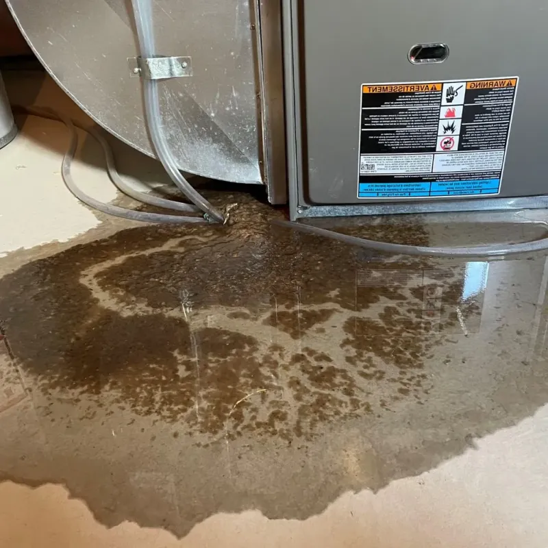 Pipe Burst and Leak Restoration in Calcutta, OH